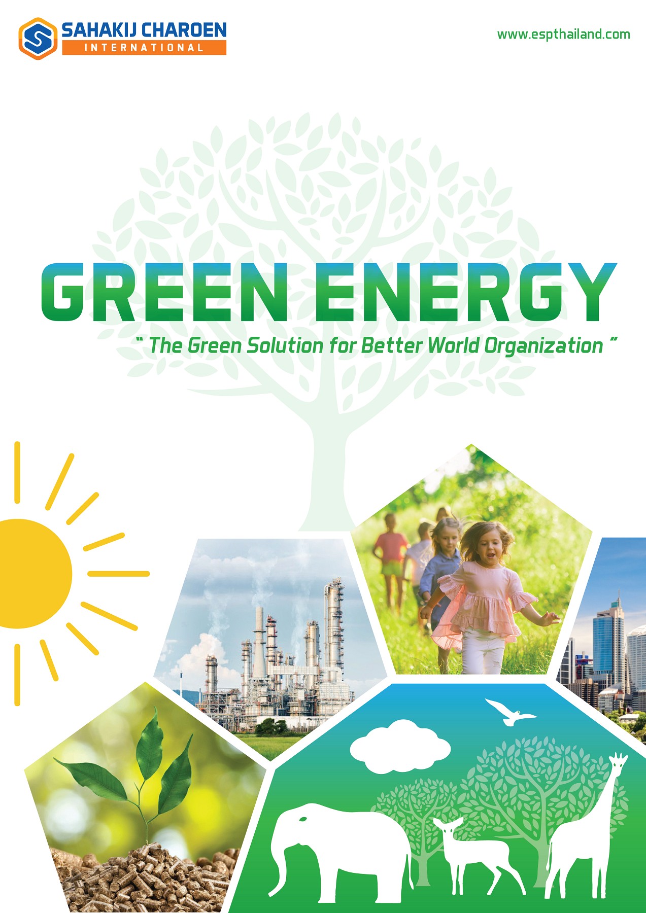 SCIBiomass Fuel Company Profile SCI Marketing01 Page 1 10 Flip