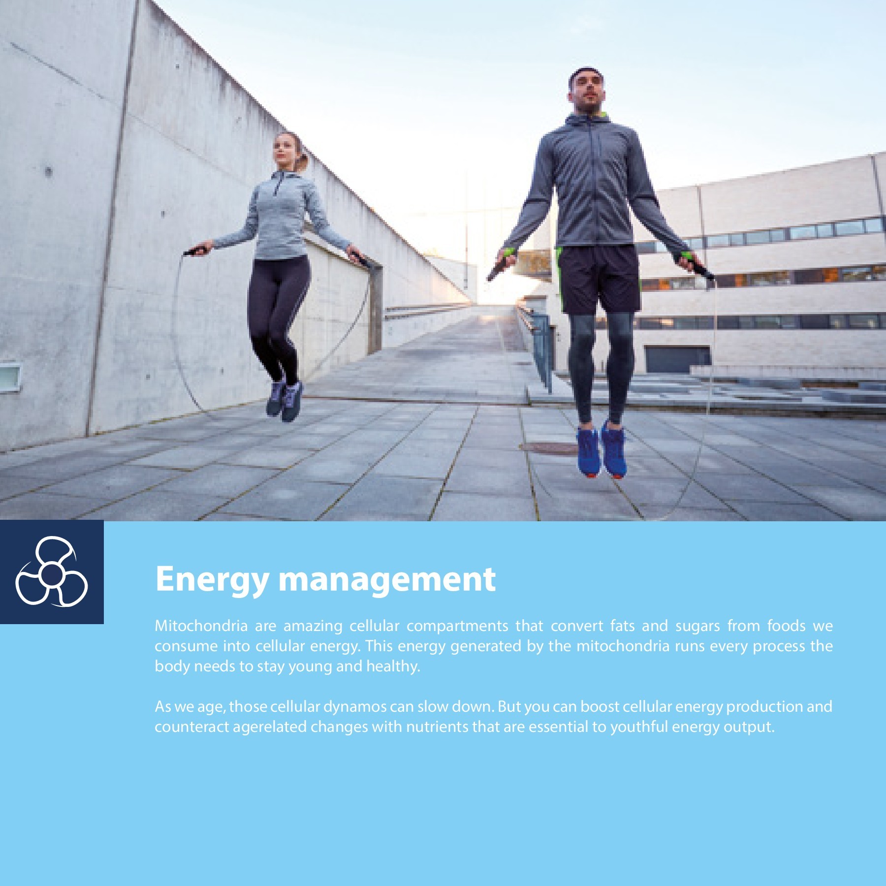 LEE_Consumer Brochure_pages sebastian Page 43 Flip PDF Online