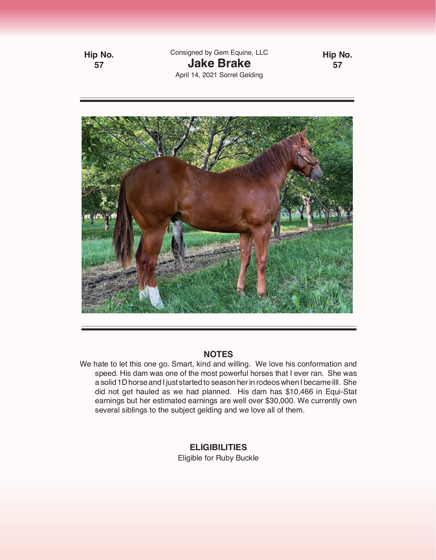2022 Ruby Buckle Horse Sale Catalog trishaj1 Page 131 Flip PDF