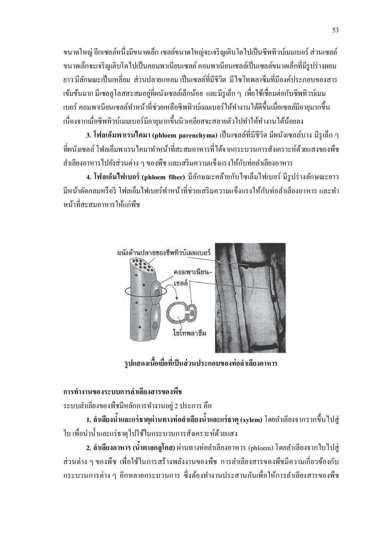 วิทยาศาสตน์ (พว21001). sc 21001_removed อลิษา คงจูด หน้าหนังสือ 61