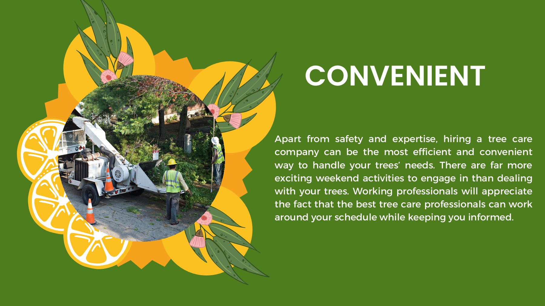 4 Benefits of Tree Removal Service Woodland Tree Johns Creek Page 5