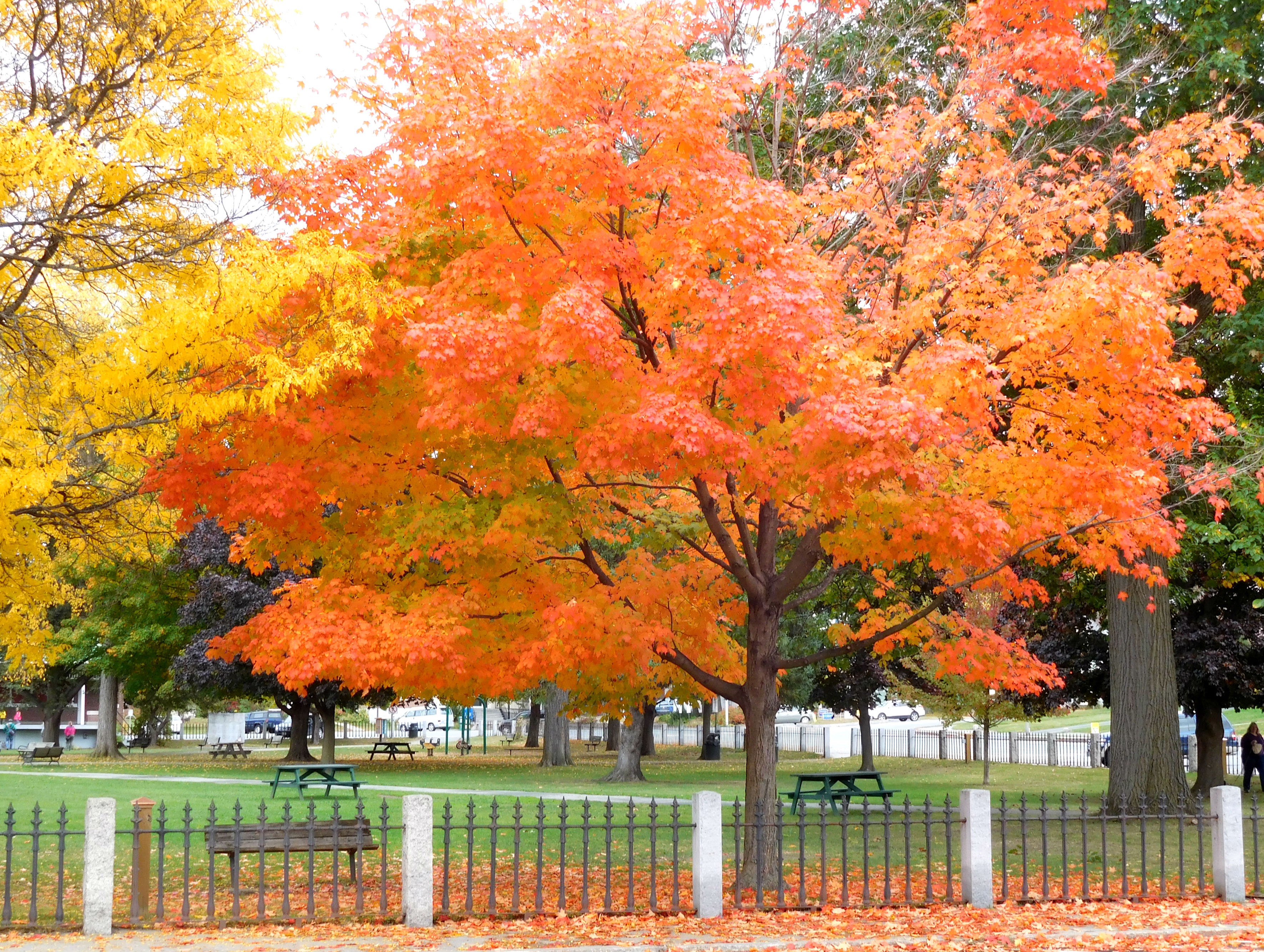 Lebanon NH Official Homepage PubHTML5