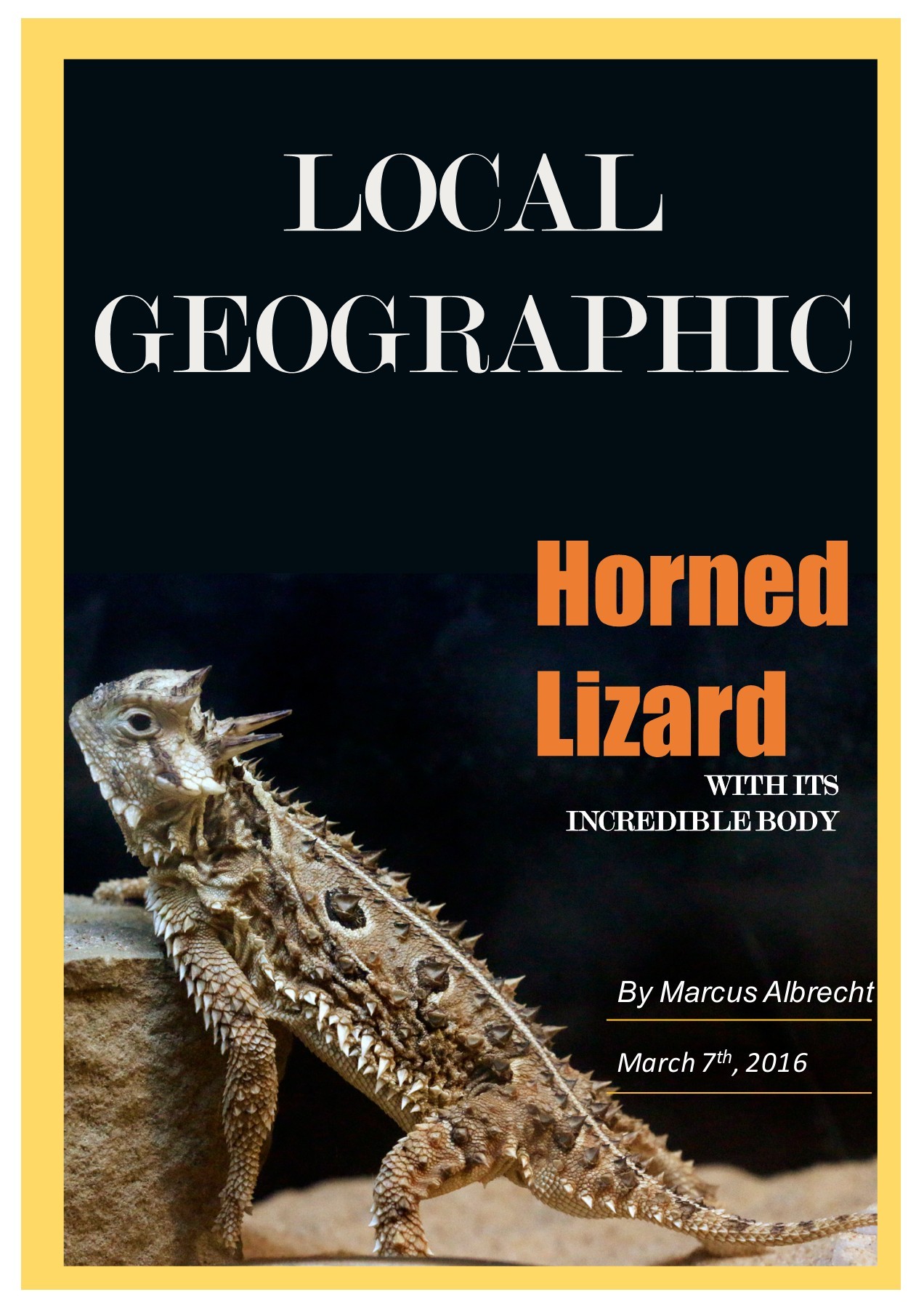 Horned Lizard Book marcusalbrecht2006 Page 1 17 Flip PDF Online