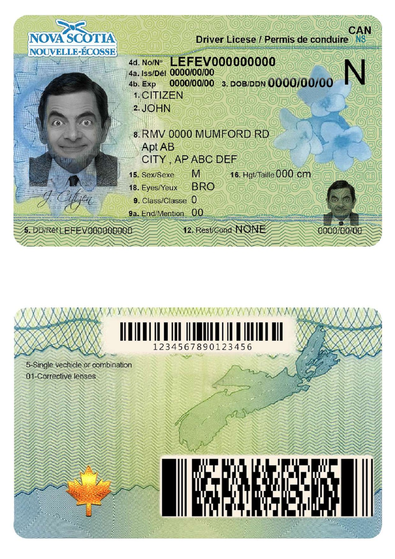 Canada Nova Scotia driving license datemplstore Page 1 1 Flip