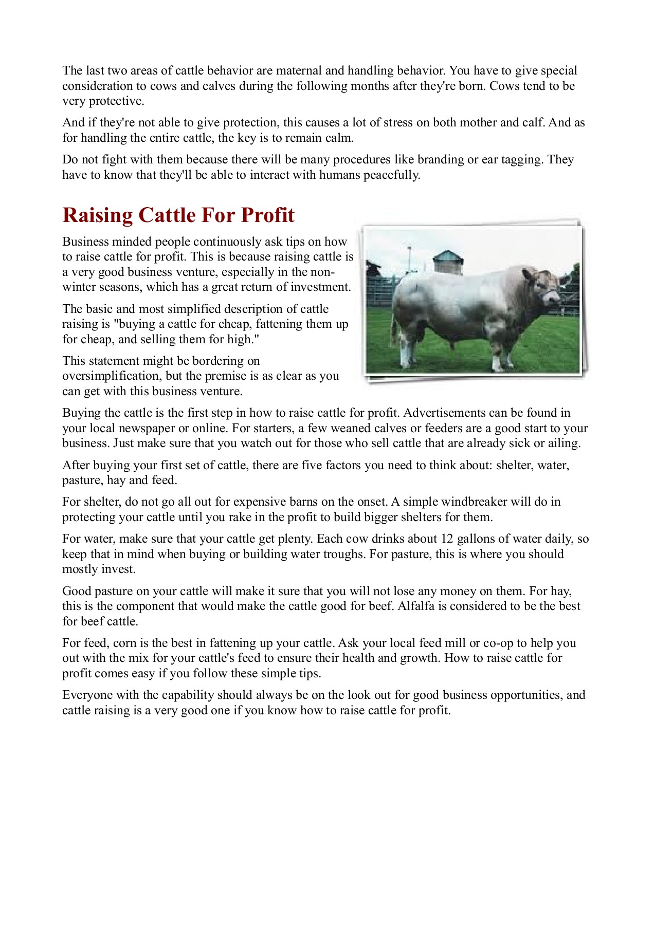 How To Raise Cattle In A Farm paulreyes247 Page 5 Flip PDF Online
