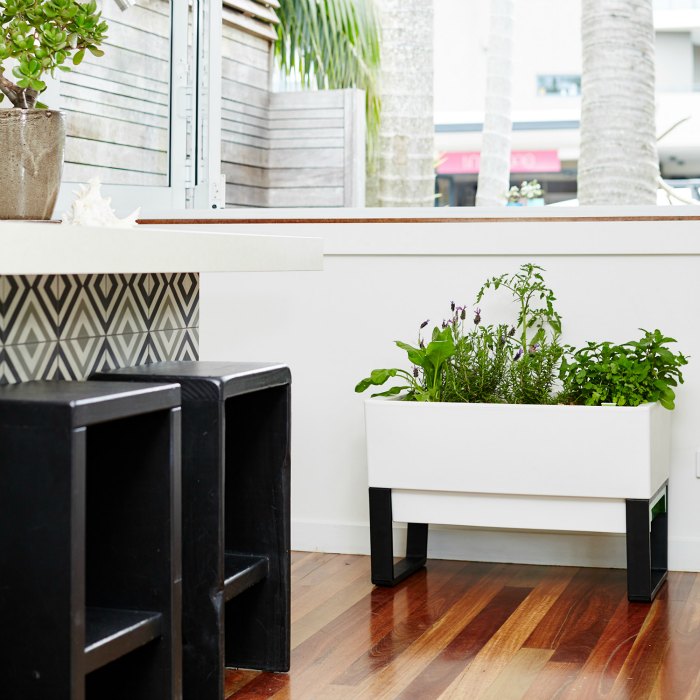 Green Up Your Office Environment and Plant the Seeds of Success