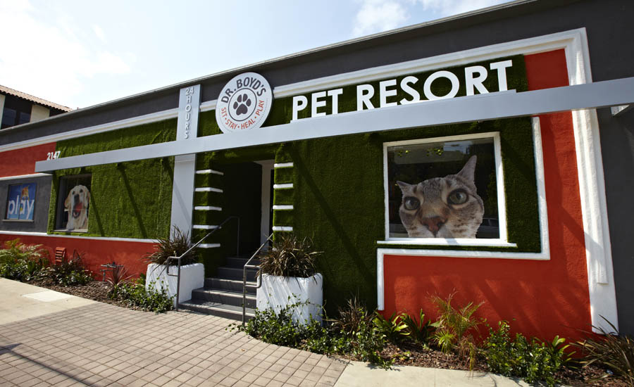 Dr Boyd’s Pet Resort Online Builders