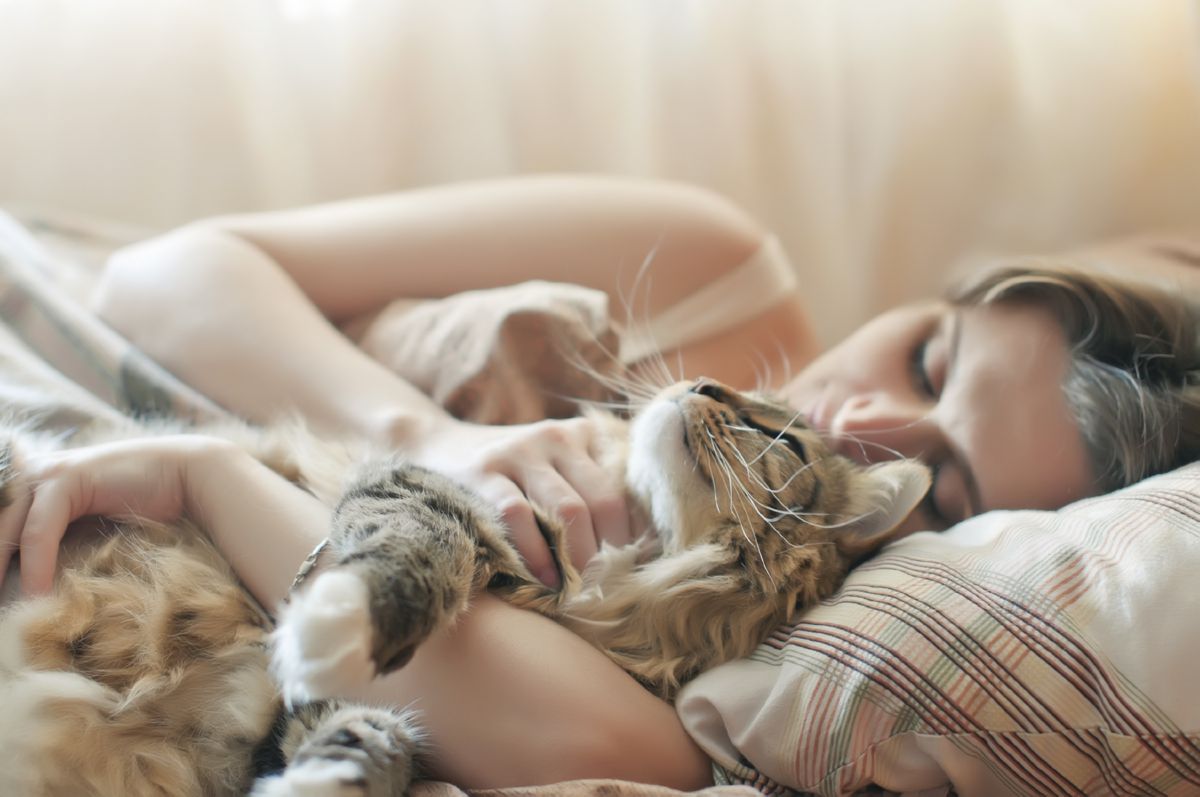 Why does my cat sleep with me? (and 5 advantages) Onlinecatworld