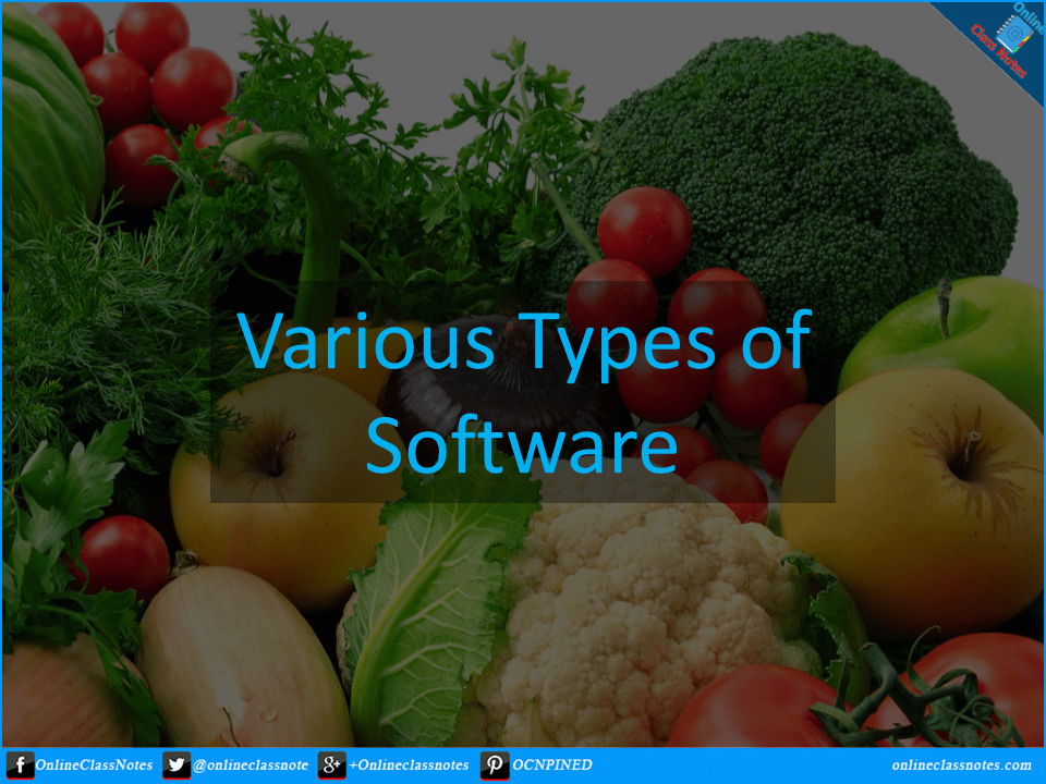 What are the various types of software? « Software Engineering