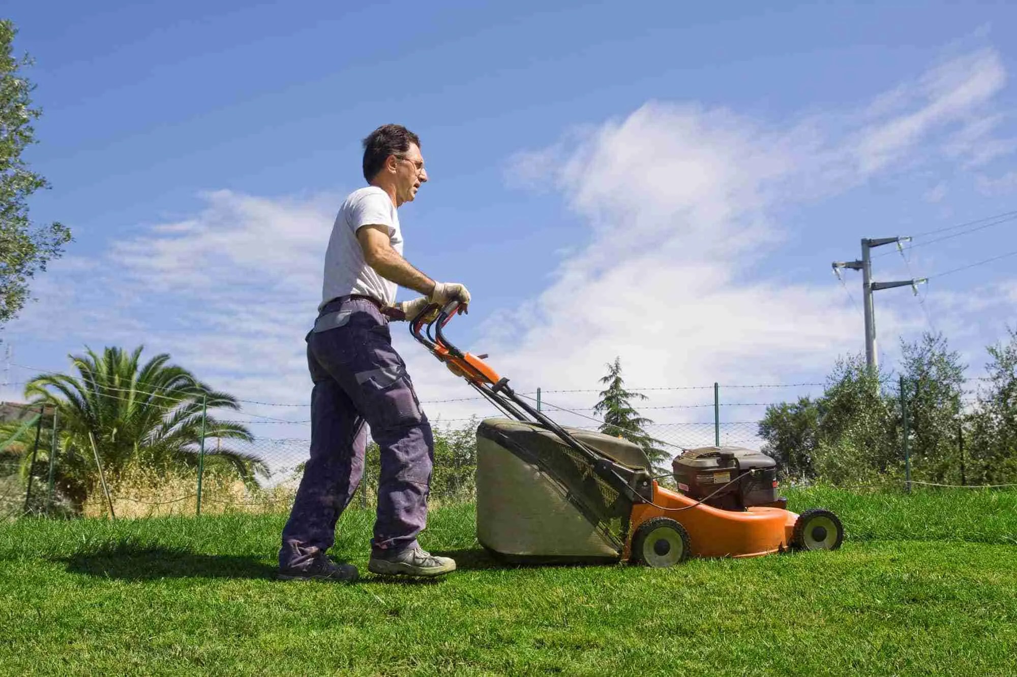 Which DBS Checks do School Maintenance Contractors Need?