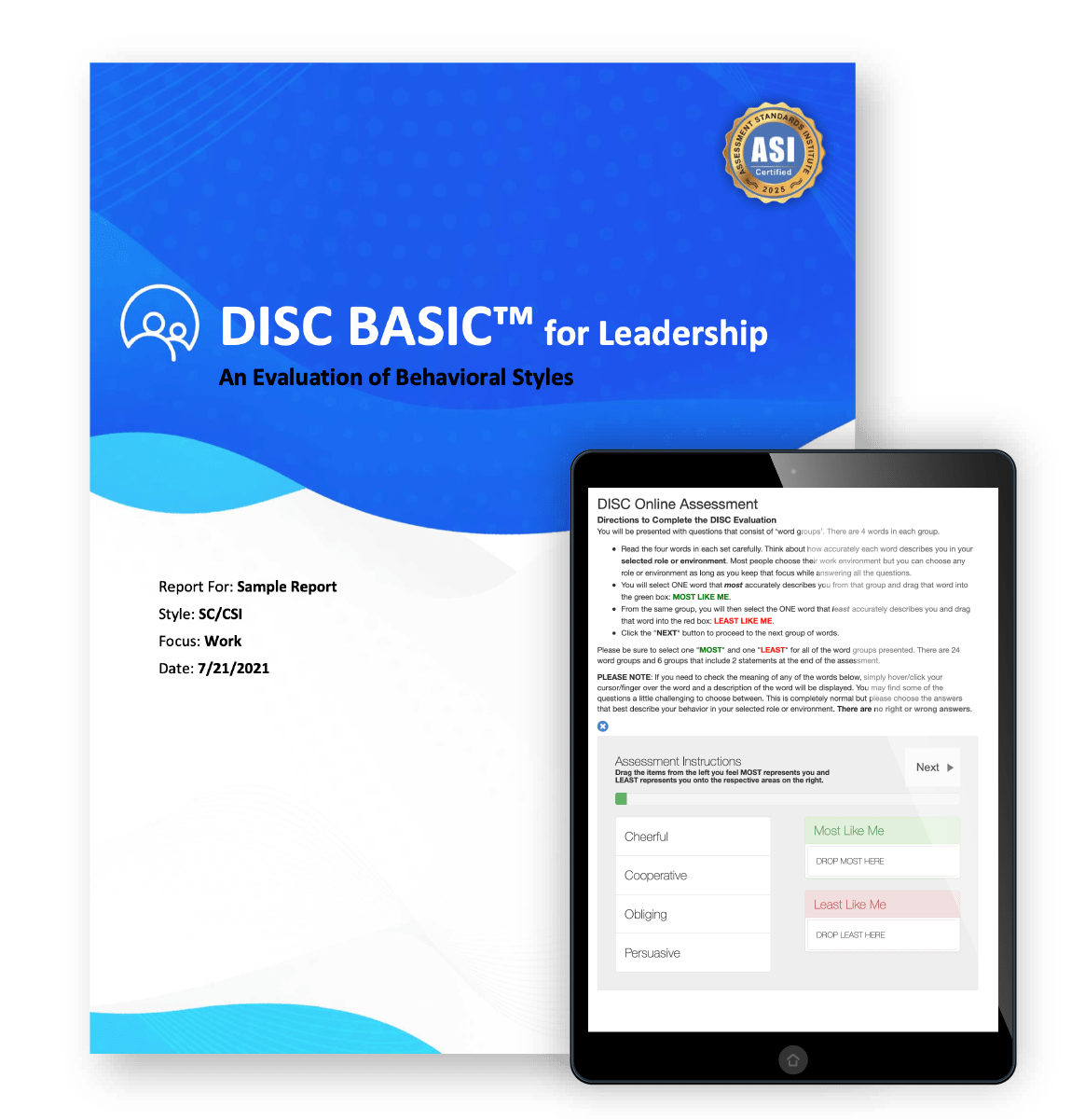 DISC Basic Leadership Assessment