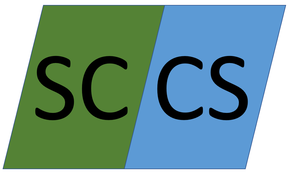 What is your DISC Personality Type? Learn about all of the DISC Styles