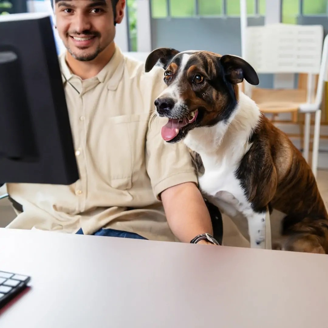 Online Dog Training Courses