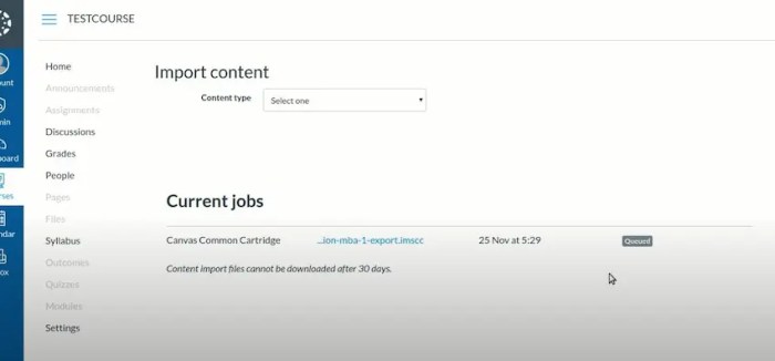 How to Import and Export Course Content in Canvas LMS – OnlineExamMaker ... How to Import and Export Course Content in Canvas LMS – OnlineExamMaker ...