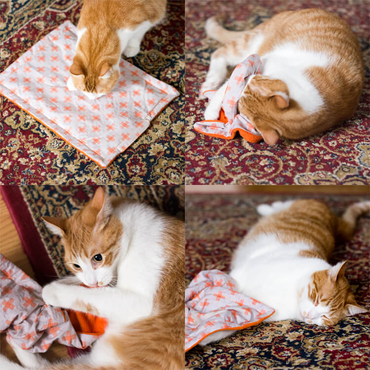 How to Make a Catnip Blanket OFS Maker's Mill