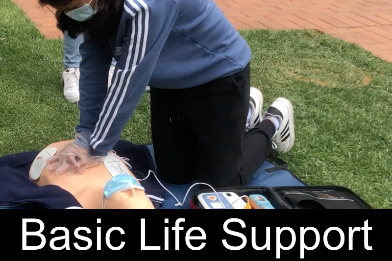 BLS Course Turtle Life Support