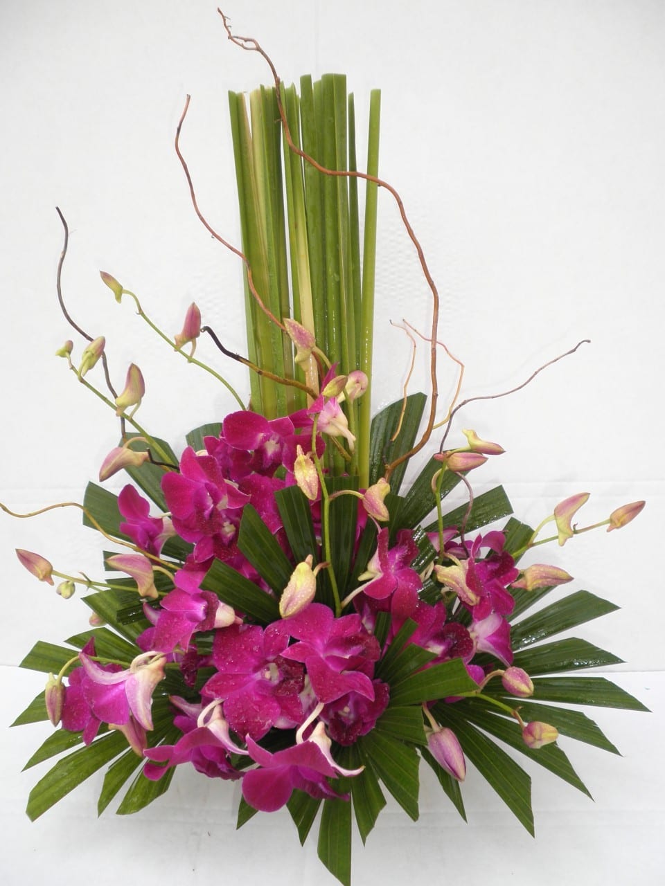 Warm Orchids Online Florist Singapore Online Flowers Shop