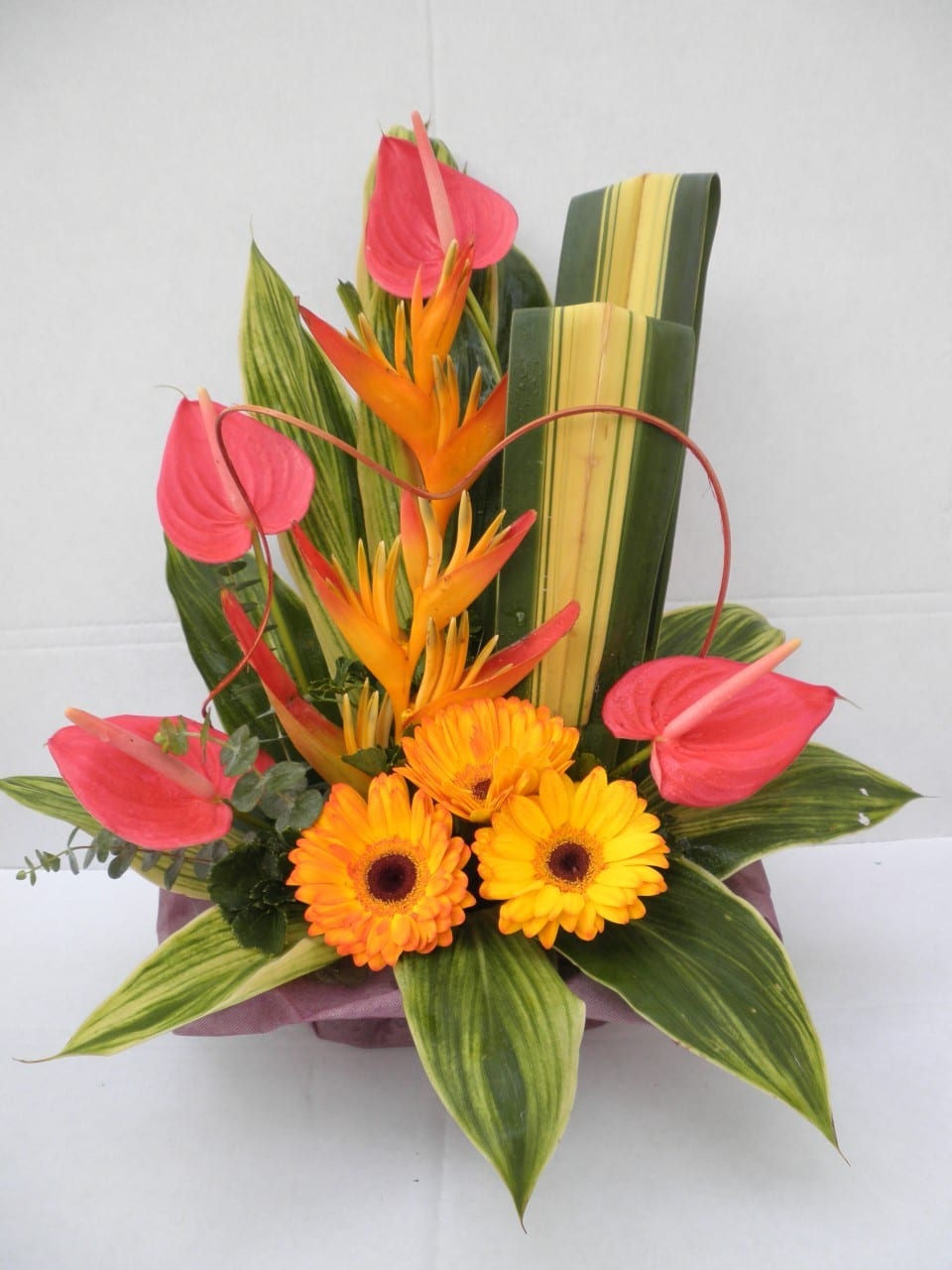 Wild at Heart Online Florist Singapore Online Flowers Shop