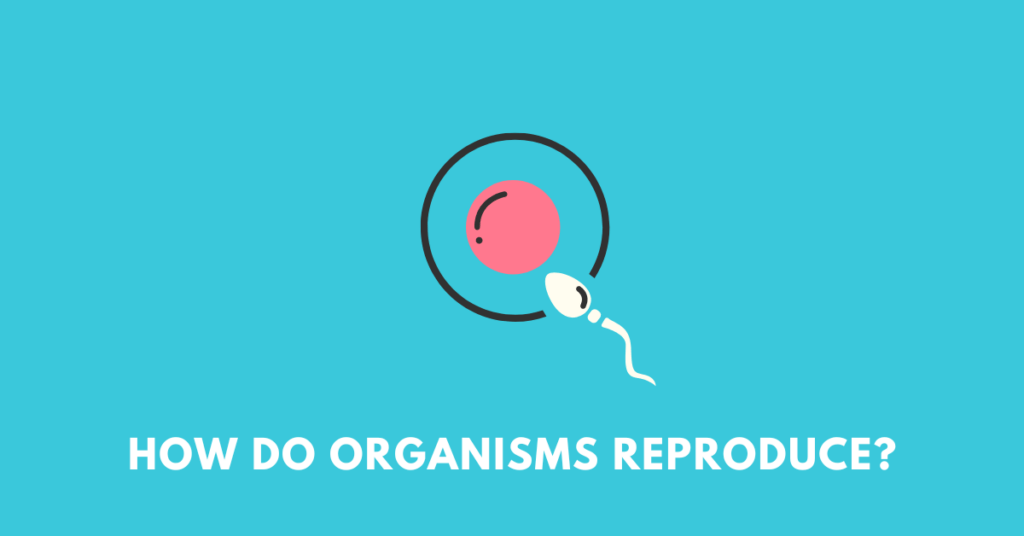 How do Organisms Reproduce Science Class 10 Chapter 8 notes