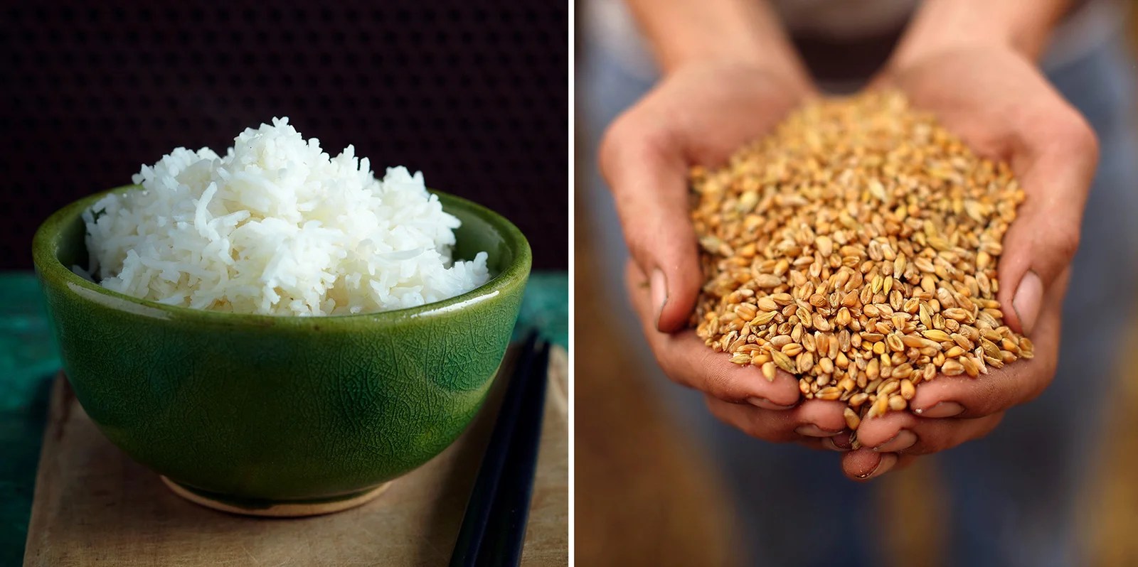 Wheat Vs. Rice Which is Better Wheat Vs. Rice?