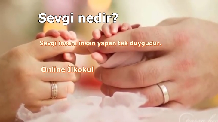 Sevgi ONLİNE İLKOKUL