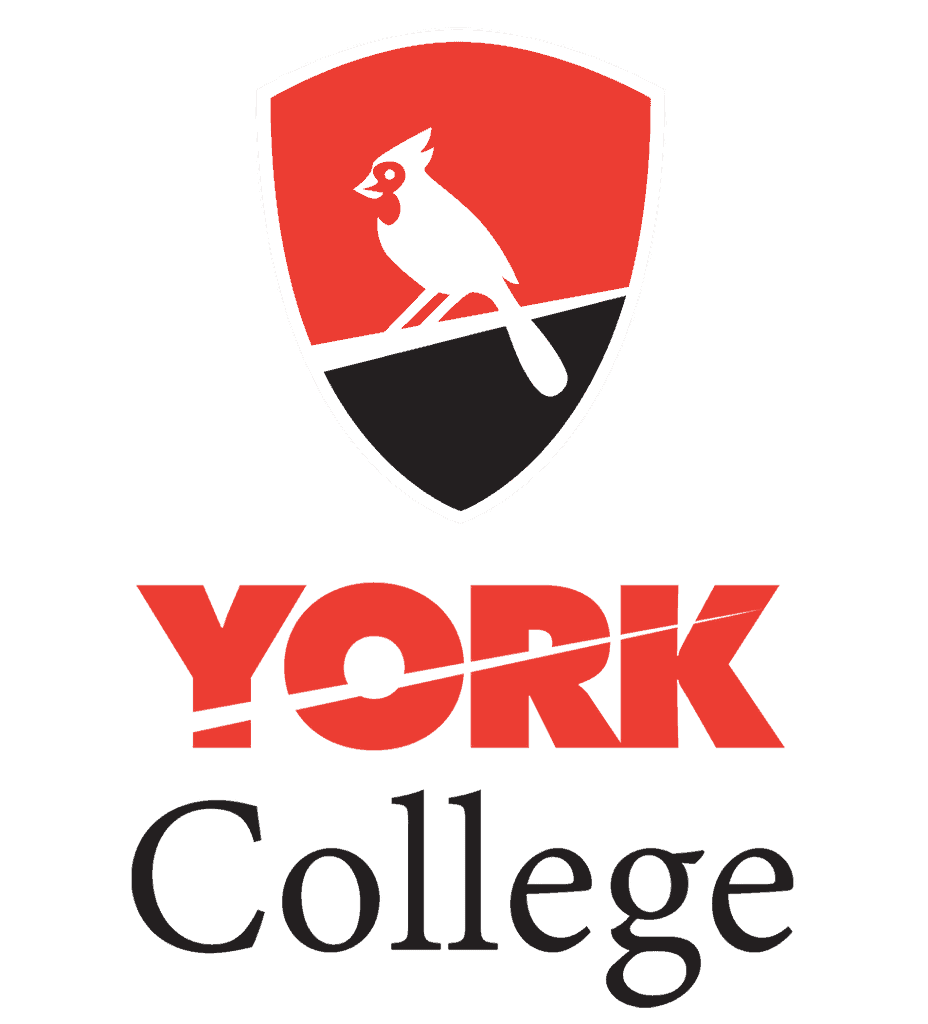 24+ New York MSW Programs & No GRE & CSWE)