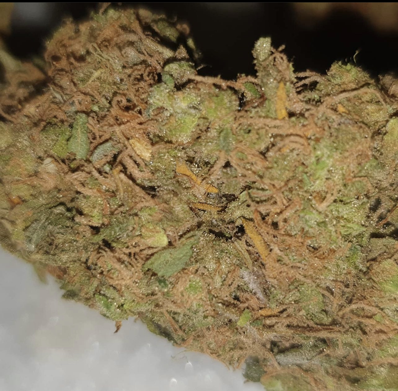 la kush cake strain/2/weed strainsLA Kush Cake Strain — Psychedelicplug