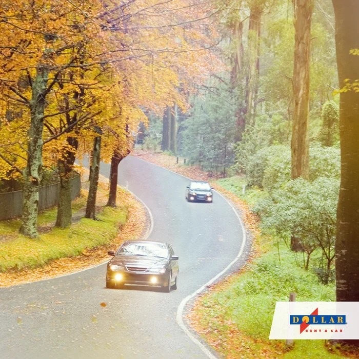 Is Dollar Car Rental Worth Your Money? Read this Honest Review Online