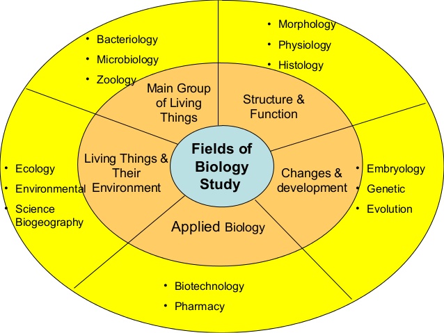 Scope of biology Online Science Notes
