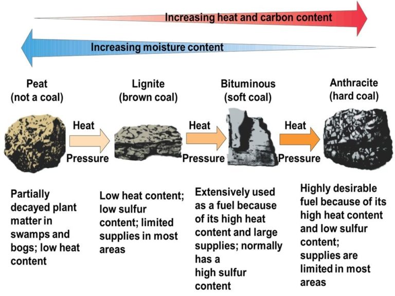 Coal (Formation, Types and Importance) Online Science Notes