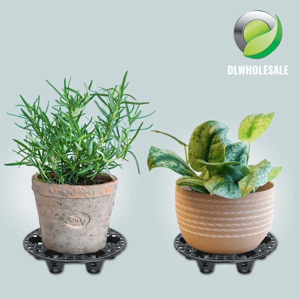 Plant Pot Elevator Heavy Duty Plant Stands 10 PACK Online Weed Seeds