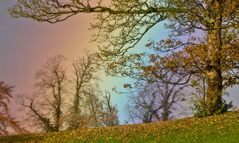 6 Best Places to Photograph Autumn Colours in the UK Only By Land