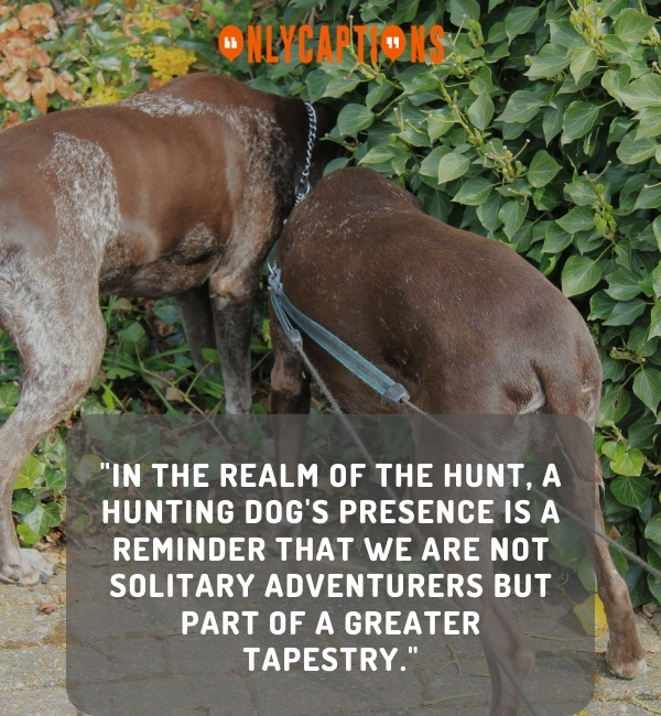 325+ Hunting Dog Quotes (2024) Howl with Delight