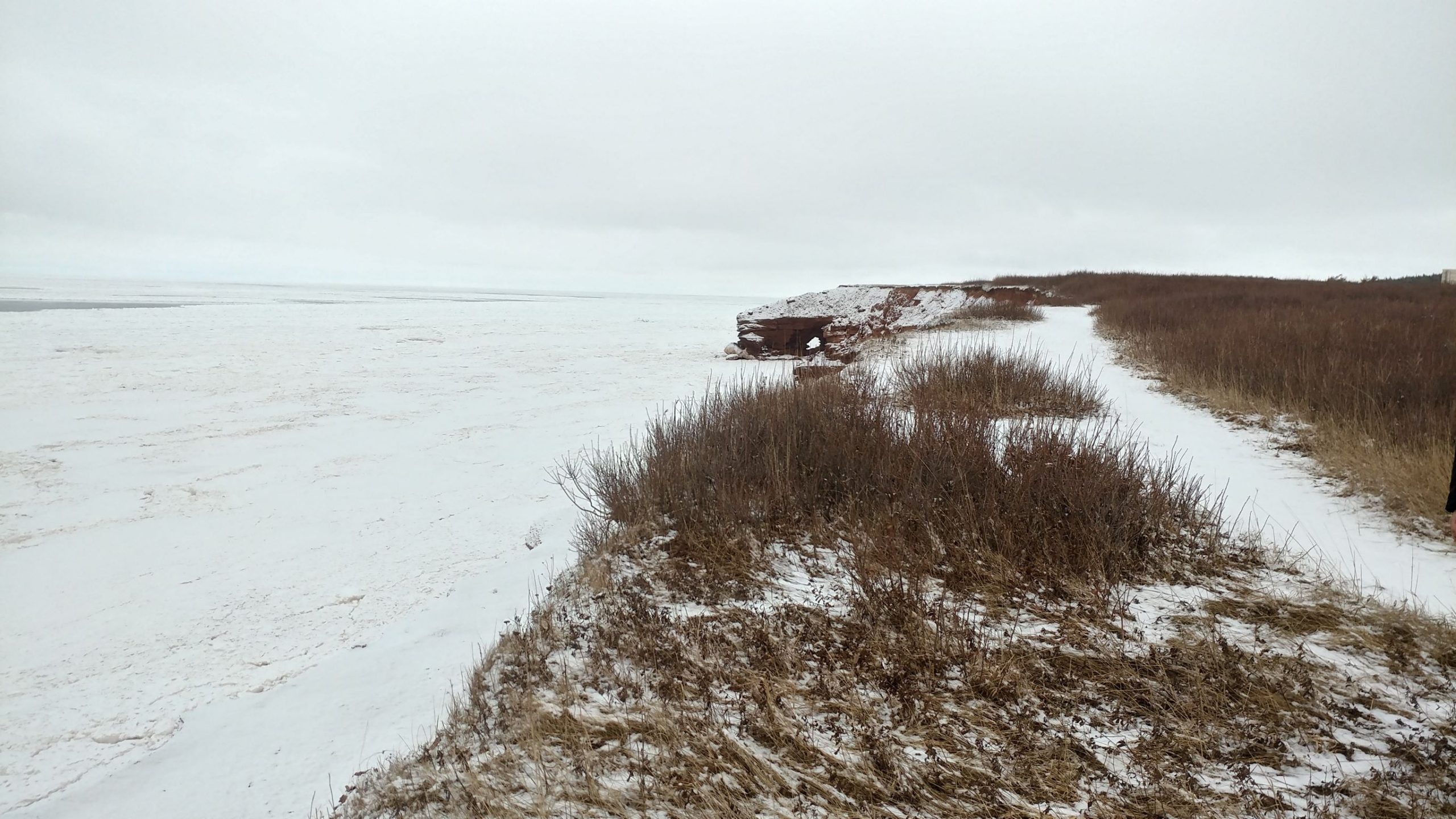 They Even Knew How To Have  A Good Time On New Year's Eve. Cavendish Beach on New Year's Day