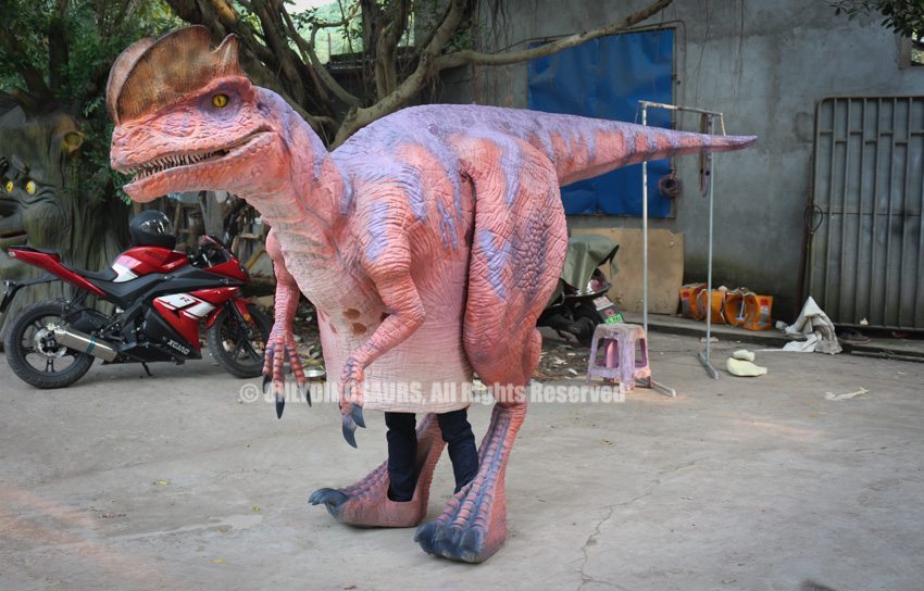 Custom Dinosaur Costume Dilophosaurus Only Dinosaurs