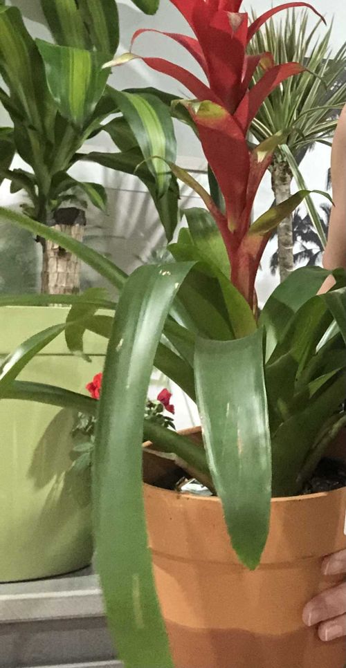 Kaylee Galloway - gallowaykaylee OnlyFans