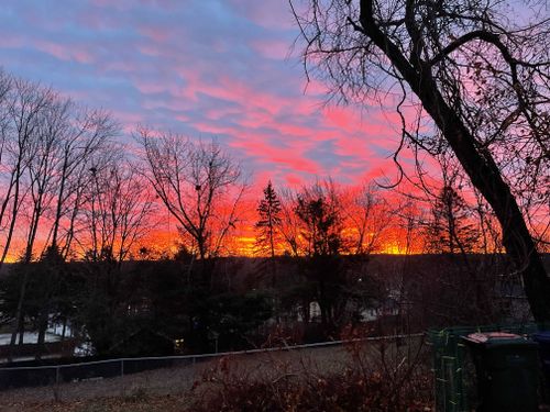 Rae - rae.nicole OnlyFans