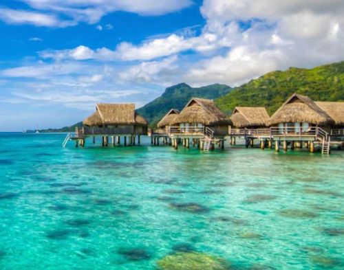 🌵 Cuddly Cactus 🌵 - anjimonique OnlyFans