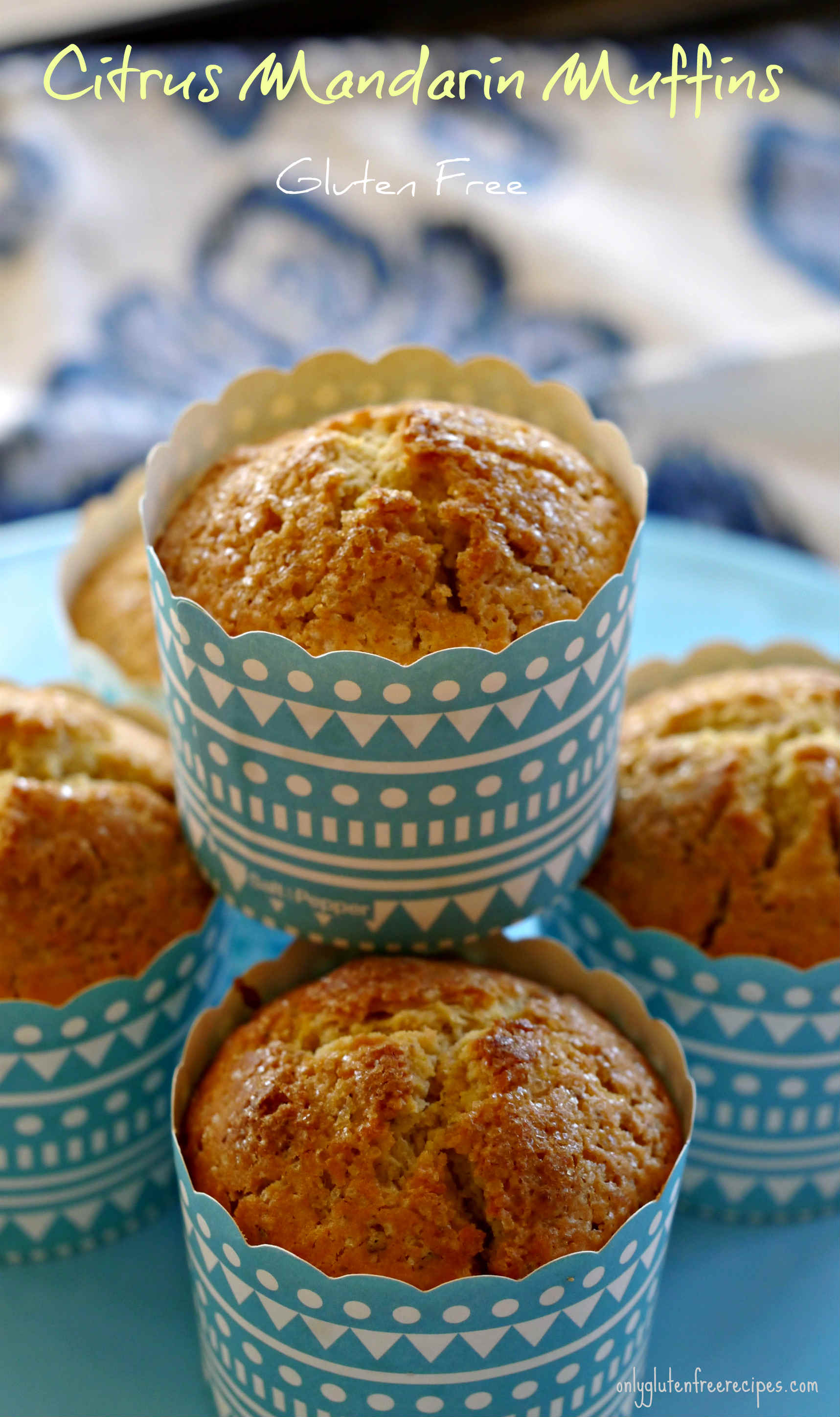 GlutenFree Citrus Mandarin Muffins Only Gluten Free Recipes