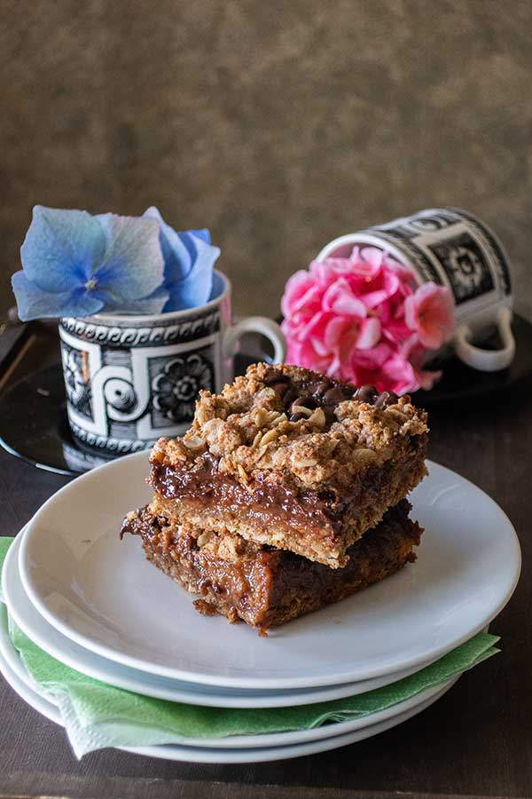 GlutenFree Chocolate Mocha Oat Bars Only Gluten Free Recipes