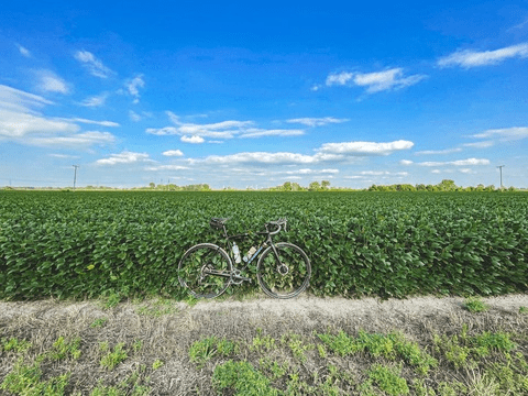 Onlyfans leak mrmidwestmark - OnlyHotLeaked