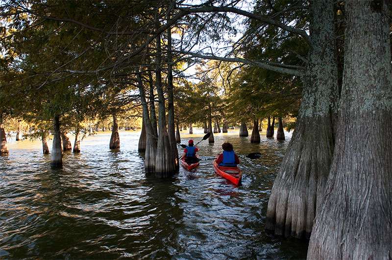 Lake Chicot from a Pontoon Boat Only In Arkansas