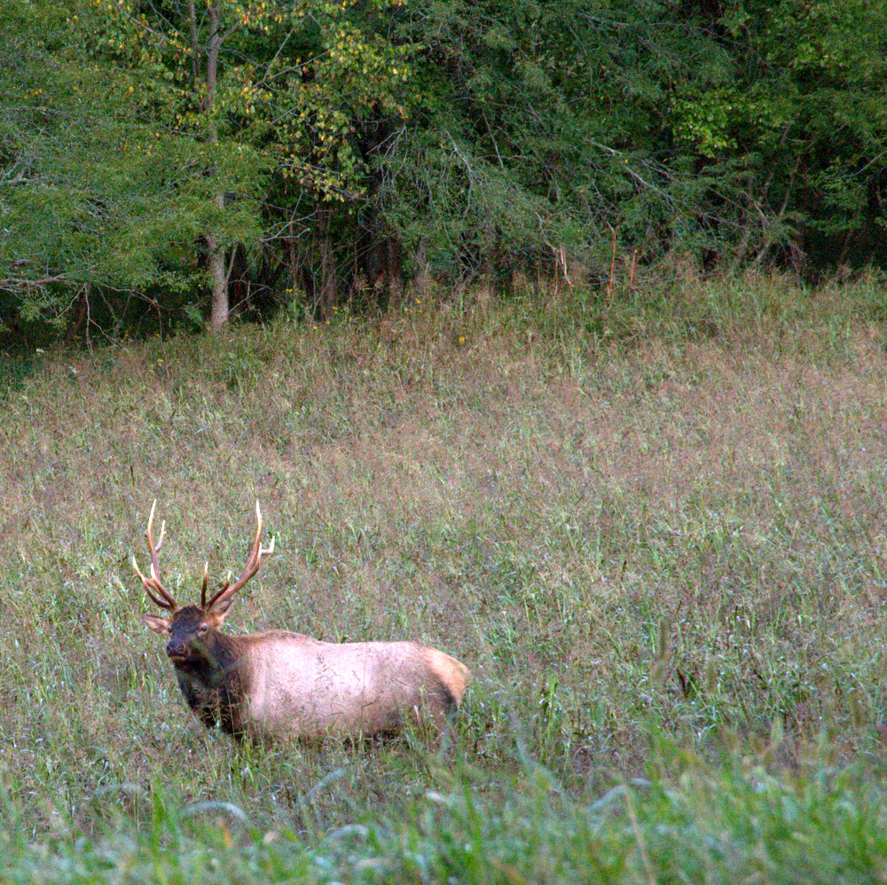 Six Things to Do on a Weekend in Jasper, Only in Arkansas