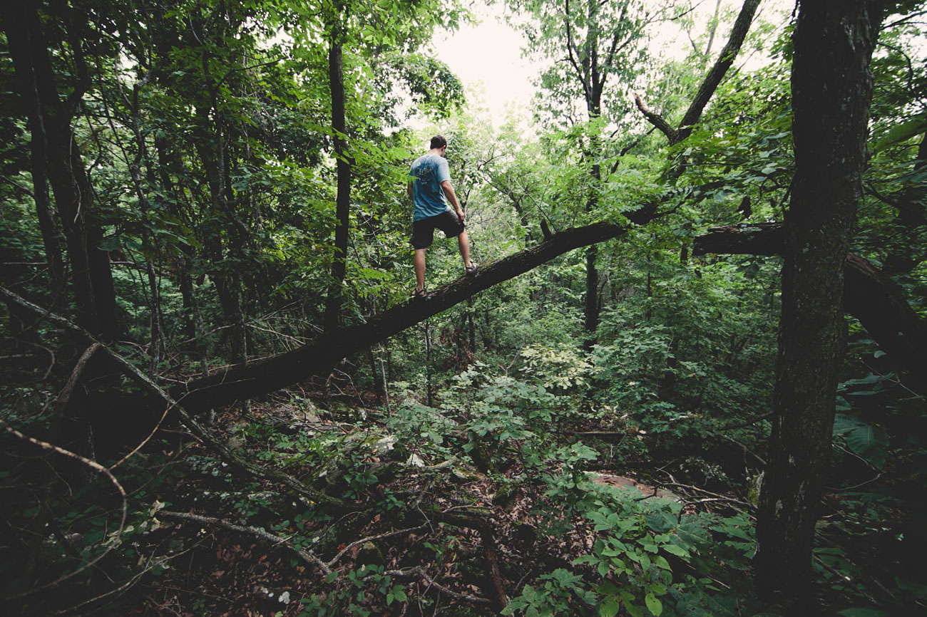 Three Hiking Trails Within 30 Minutes of Fayetteville Only in Arkansas