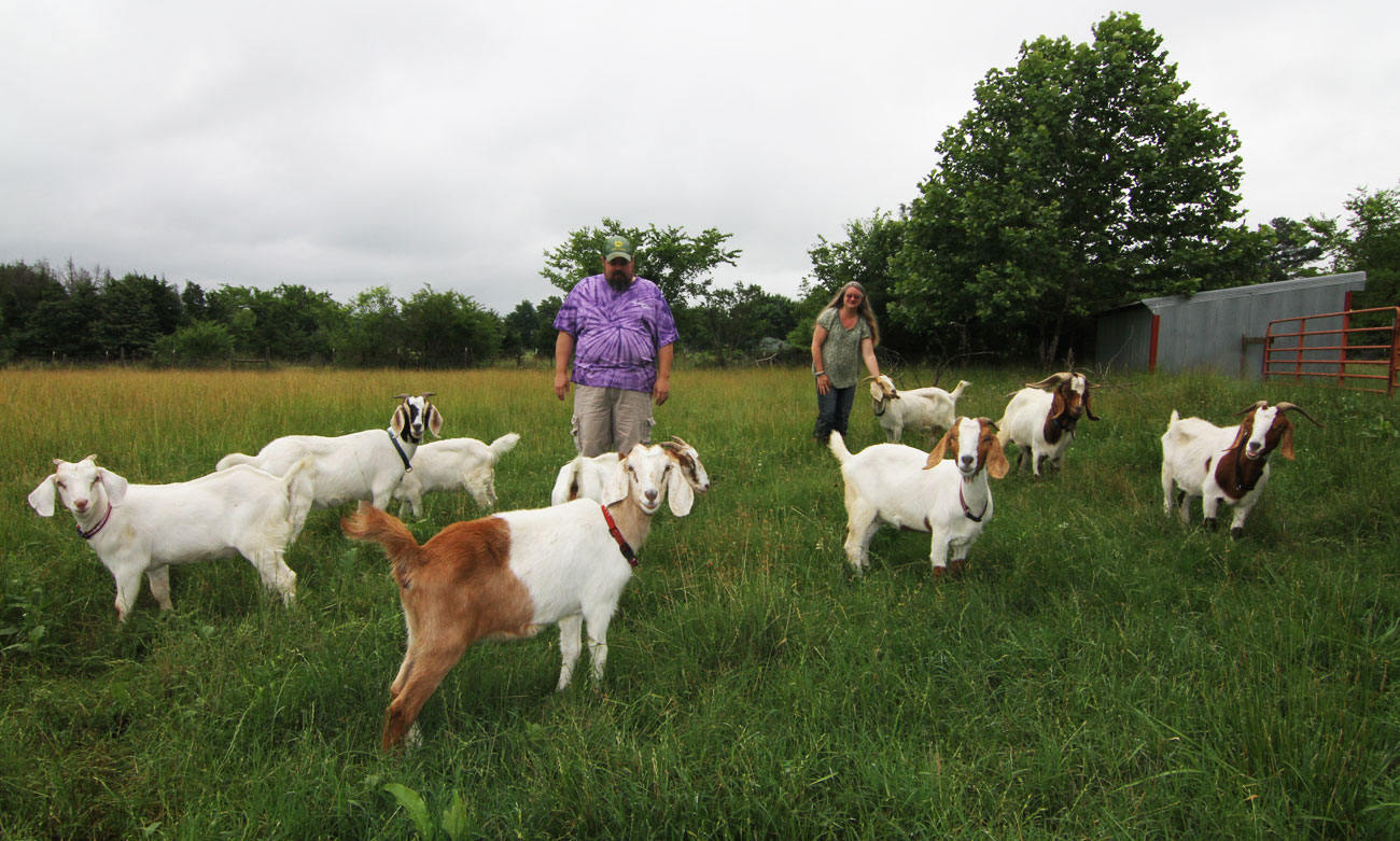 Greedy Goats Only in Arkansas