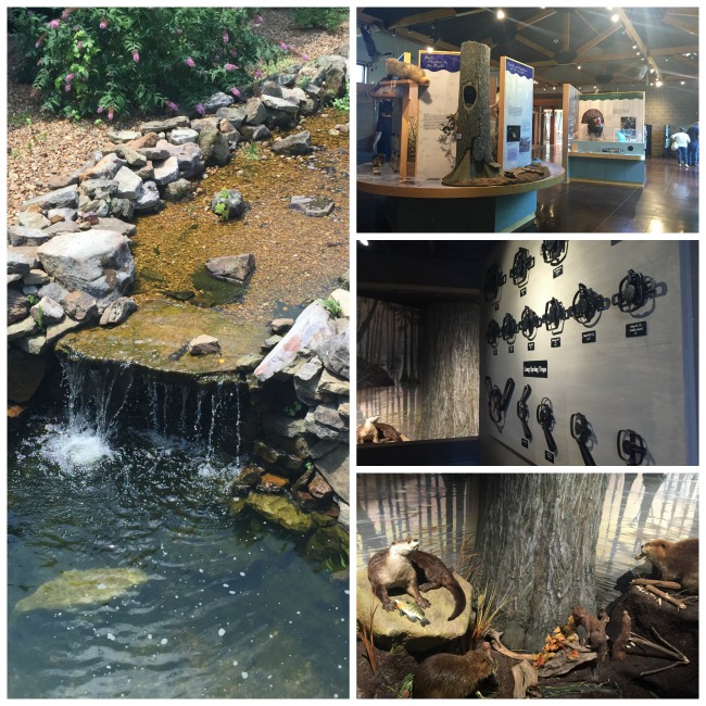 Crowley’s Ridge Nature Center Jonesboro Only In Arkansas