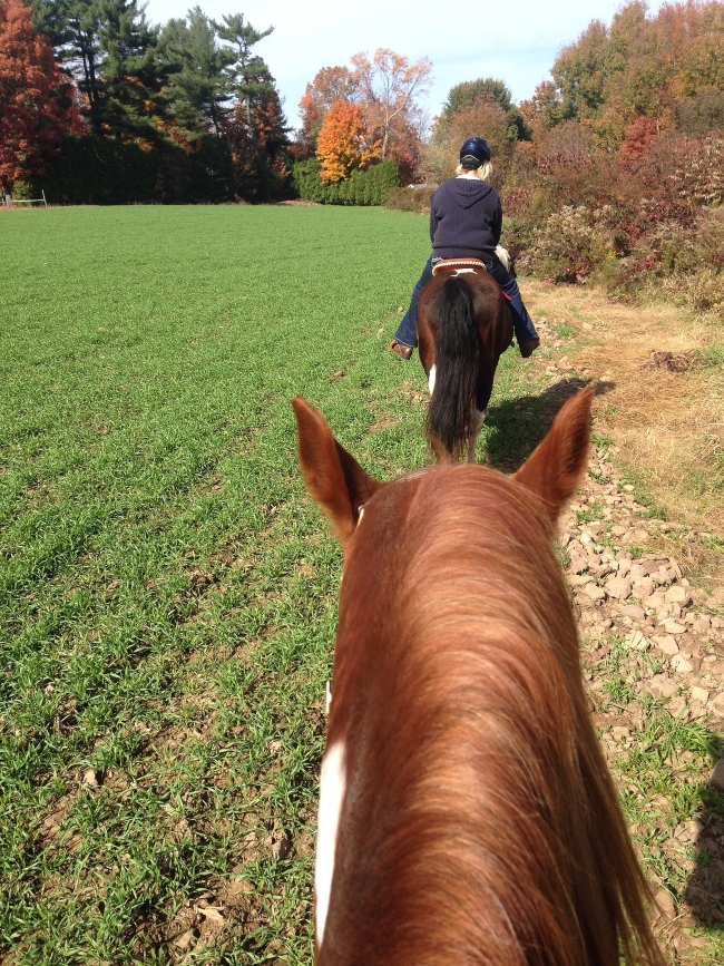 Horseback Trail Riding in Arkansas Only In Arkansas