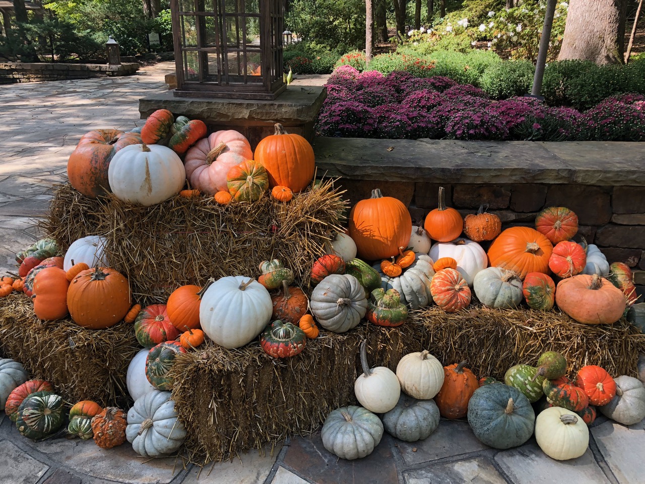Arkansas Pumpkin Patch Adventures 2020 Only In Arkansas