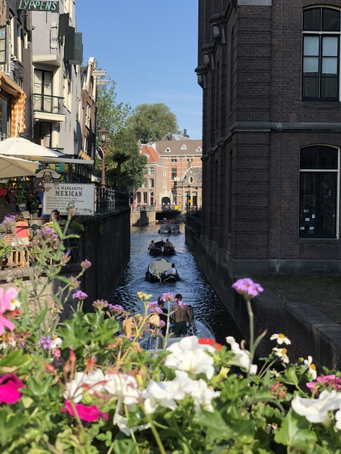 iammazin OnlyFans Leaked (487 Photos and 156 Videos) - OnlyLeakx