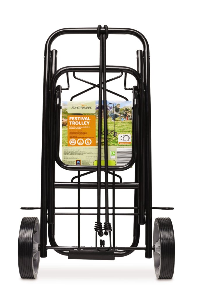 ALDI Fest is back with Electric Picnic collab